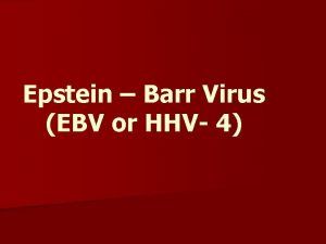 Epstein Barr Virus EBV or HHV 4 EpsteinBarr