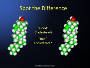 Spot the Difference Good Cholesterol Bad Cholesterol EUROPEAN