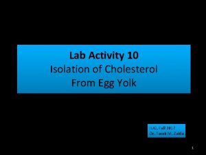 Lab Activity 10 Isolation of Cholesterol From Egg