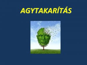 AGYTAKARTS Az agy csodlatos ngygyt kpessge Tma Az