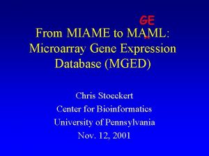 GE From MIAME to MAML Microarray Gene Expression