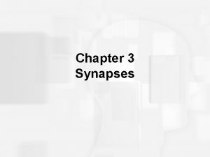 Chapter 3 Synapses The Concept of the Synapse