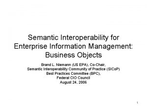 Semantic Interoperability for Enterprise Information Management Business Objects