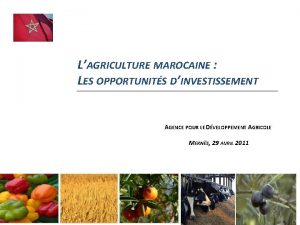 LAGRICULTURE MAROCAINE LES OPPORTUNITS DINVESTISSEMENT AGENCE POUR LE