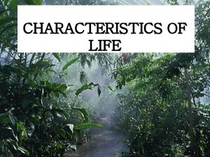 CHARACTERISTICS OF LIFE What is Biology Bio life