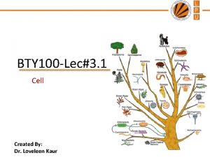 BTY 100 Lec3 1 Cell Created By Dr