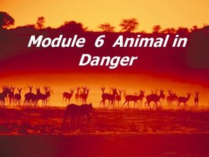 Module 6 Animal in Danger Leadingin Learning Goals