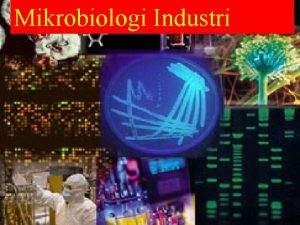 Mikrobiologi Industri 1 Identitas Mata Kuliah a Nama