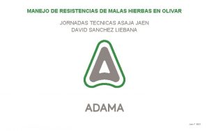 MANEJO DE RESISTENCIAS DE MALAS HIERBAS EN OLIVAR