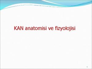 KAN anatomisi ve fizyolojisi 1 Kan Dokusu Kandokusu