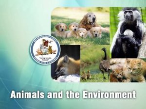 From pollution to pet overpopulation animals and the