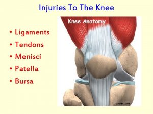 Injuries To The Knee Ligaments Tendons Menisci Patella