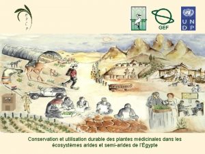 Conservation et utilisation durable des plantes mdicinales dans