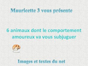 Mauricette 3 vous prsente 6 animaux dont le