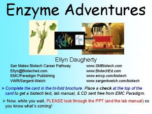 Enzyme Adventures Ellyn Daugherty San Mateo Biotech Career