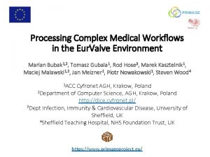 Processing Complex Medical Workflows in the Eur Valve