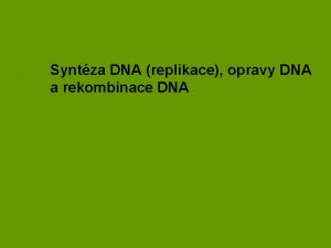 Syntza DNA replikace opravy DNA a rekombinace DNA