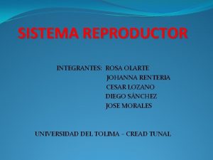 SISTEMA REPRODUCTOR INTEGRANTES ROSA OLARTE JOHANNA RENTERIA CESAR