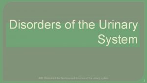 Disorders of the Urinary System 4 02 Understand