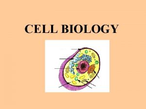 CELL BIOLOGY CELL STRUCTURE FUNCTION Chapter 4 CELL