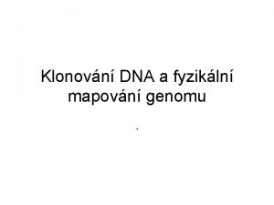 Klonovn DNA a fyzikln mapovn genomu Terminologie Klonovn