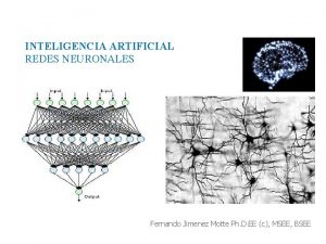 INTELIGENCIA ARTIFICIAL REDES NEURONALES Fernando Jimenez Motte Ph