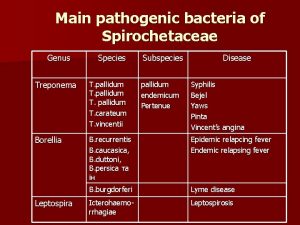 Main pathogenic bacteria of Spirochetaceae Genus Species Subspecies