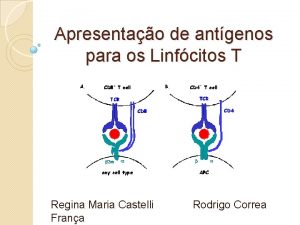 Apresentao de antgenos para os Linfcitos T Regina