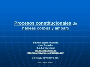 Procesos constitucionales de habeas corpus y amparo Edwin