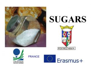 SUGARS FRANCE 1 Sugars molecules The different types