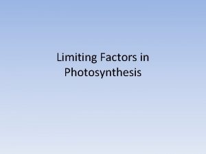 Limiting Factors in Photosynthesis The Concept of Limiting