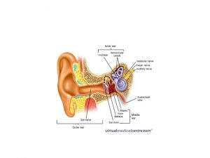 Types of Hearing Loss Conductive Outer or Middle