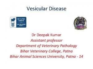 Vesicular Disease Dr Deepak Kumar Assistant professor Department