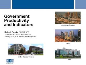 Government Productivity and Indicators United Arab Emirates Robert