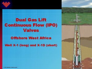 Dual Gas Lift Continuous Flow IPO Valves Offshore