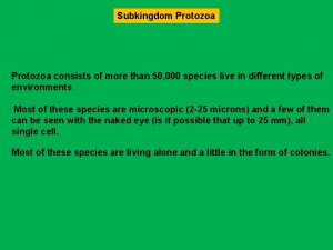 Subkingdom protozoa