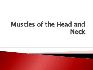 Muscles of the Head and Neck A Few