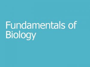 Fundamentals of Biology The Essential Building Blocks of