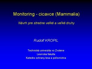 Monitoring cicavce Mammalia Nvrh pre stredne vek a