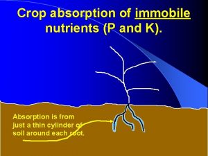 Immobile nutrients