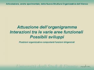 Articolazione anche sperimentale della Nuova Struttura Organizzativa dellAteneo