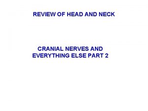 REVIEW OF HEAD AND NECK CRANIAL NERVES AND