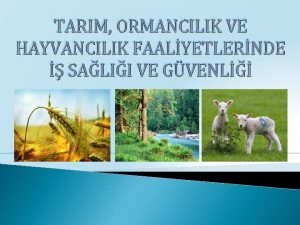 TARIM ORMANCILIK VE HAYVANCILIK FAALYETLERNDE SALII VE GVENL