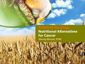 Practical Oncology Nutritional Alternatives for Cancer Wendy Blount