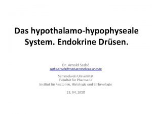 Das hypothalamohypophyseale System Endokrine Drsen Dr Arnold Szab