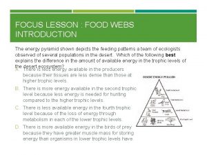 FOCUS LESSON FOOD WEBS INTRODUCTION The energy pyramid