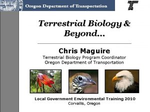 Terrestrial Biology Beyond Chris Maguire Terrestrial Biology Program