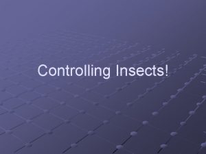 Controlling Insects Insecticides Identify common insect pests and