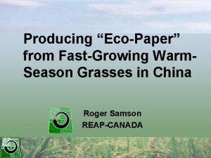 Producing EcoPaper from FastGrowing Warm Season Grasses in