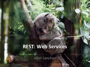REST Web Services Abel Sanchez Work Requires Connections